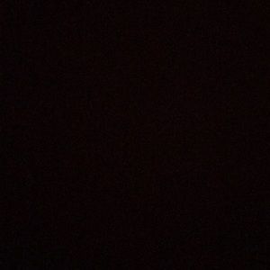 Meet your Posher, Alannah